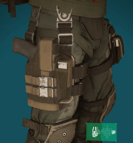 D3-FNC2 holster