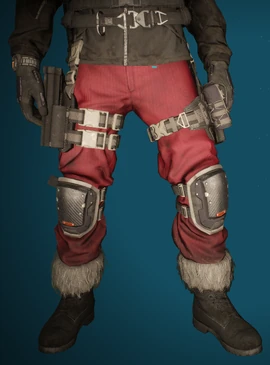 Winter Holiday Pants