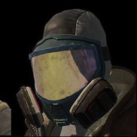 Face Masks The Division Wiki Fandom