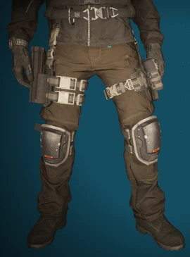 Ghost Recon Wildlands Pants
