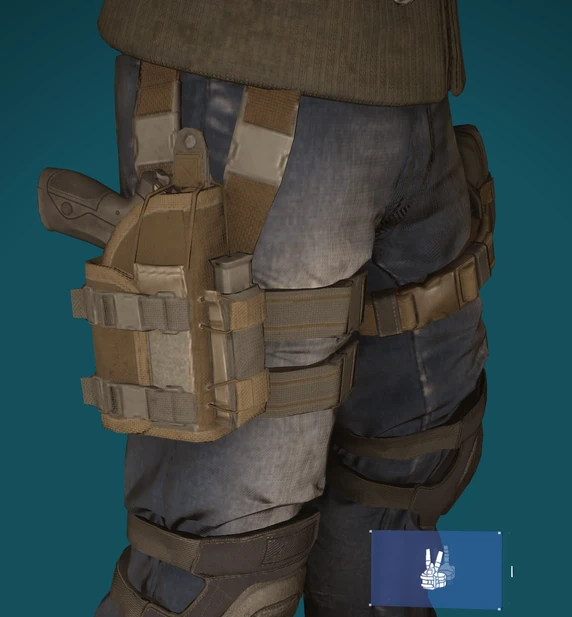 Holster Lvl20 Brown