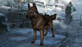 400px-Thedivisiondogs.jpg