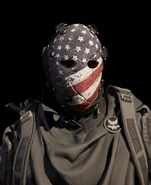 Freedom Mask on the Agent (Apparel)