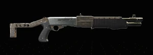 SPAS-12 TD2