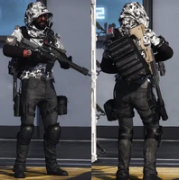 Hornet Loadout