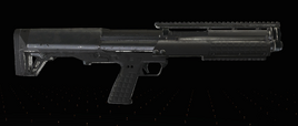 KSG-Ingame