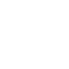 Finisher (Pistol)