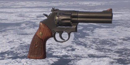 586 Magnum