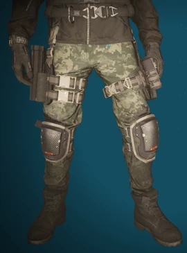 National Guard Pants