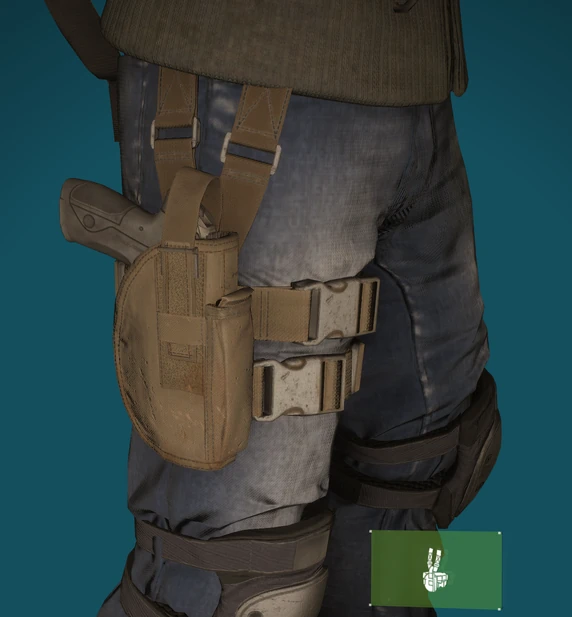 Holster Lvl6 Brown