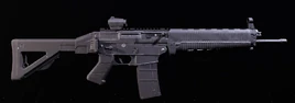 SIG 556 TD2
