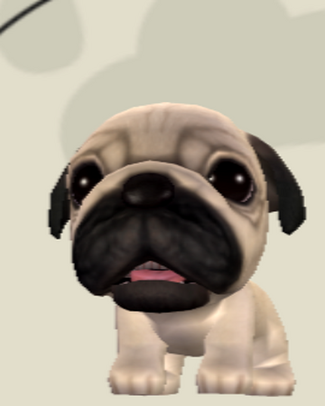 Pug The Dog Island Wikia Fandom