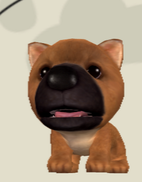 Shiba island on sale