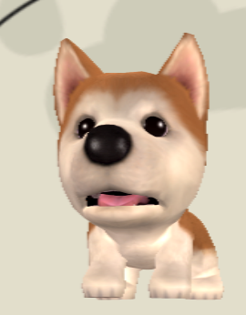 Akita The Dog Island Wikia Fandom