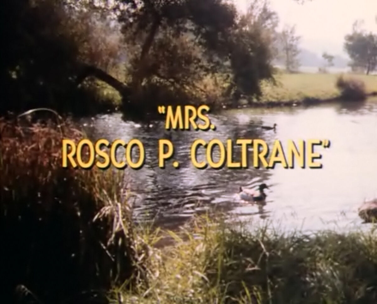 Mrs. Rosco P. Coltrane | The Dukes of Hazzard Wiki | Fandom