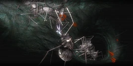 A trap 1