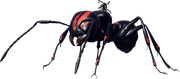 Storm Ant Scout