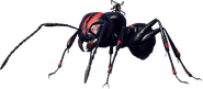 Storm Ant Scout