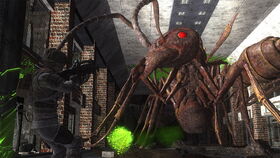 Plus Ants in a destroyed base