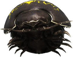 Species Gamma Render.png