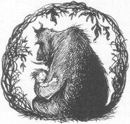 A young Rook is cradled in the protective arms of the banderbear who rescued him