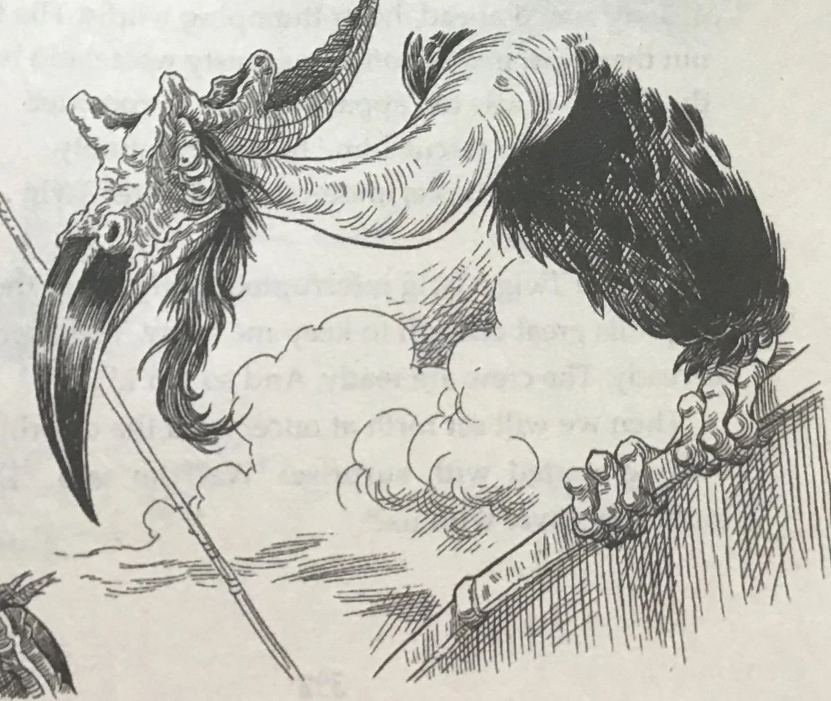 The Caterbird (character) The Edge Chronicles wiki Fandom