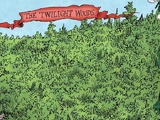 Twilight Woods