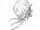 Wind-whelks