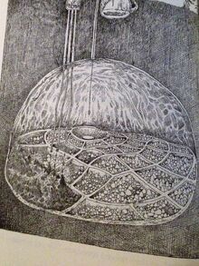 A spindlebug colony located beneath a gyle goblin colony