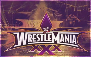 Wrestlemania30WWEEFedBanner1