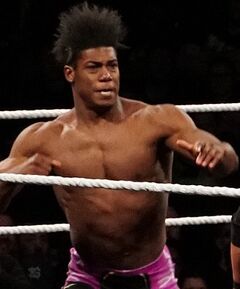 An image of the Velveteen Dream.