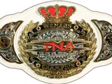 WWE xXx Championship