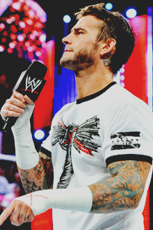 CM Punk, WWE The E-Federation Wiki