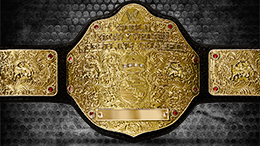 World Heavyweight Championship | WWE The E-Federation Wiki | Fandom