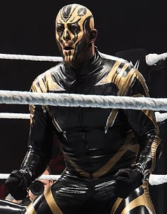 An image of the Goldust.