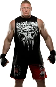 An image of the Brock Lesnar.
