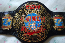 WWE ECW Championship | WWE The E-Federation Wiki | Fandom