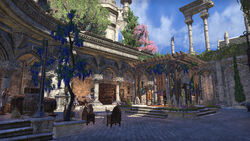 Alinor23