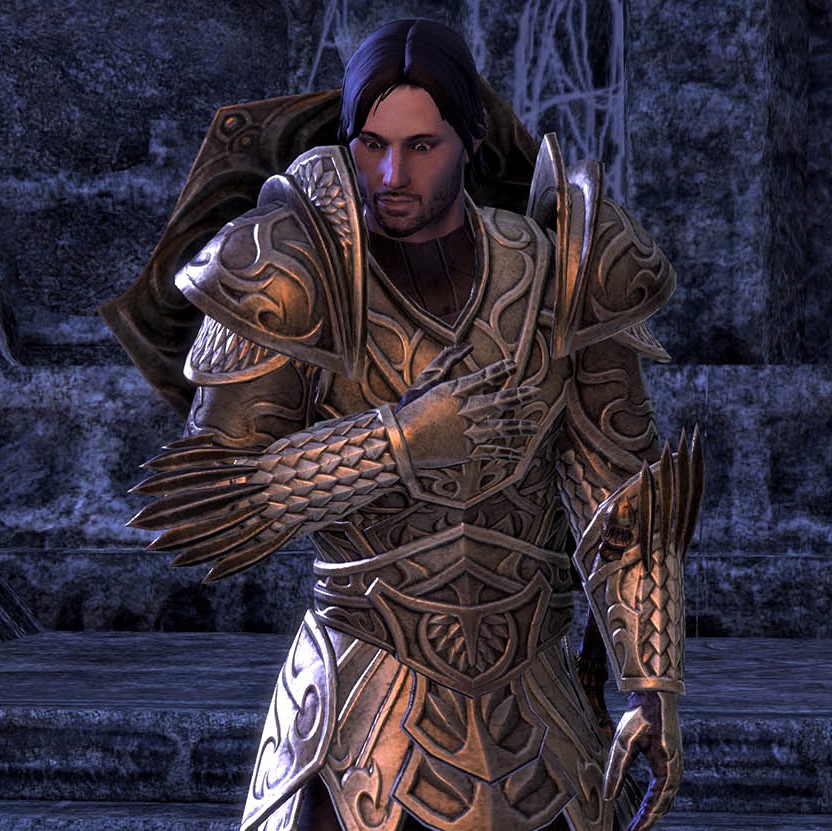 Elder Scrolls Wiki on X: Darien Gautier is a Breton captain of the Camlorn  Guard. Alinon the Alchemist describes him as a better tactician than his  father, General Gautier, even if he