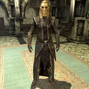 Skyrim – Elenwen.jpg (232 KB) Skyrim – žena