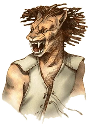 Ilustrace khajiitského muže