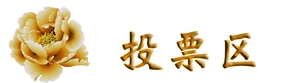 投票区