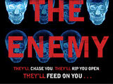 The Enemy (novel)