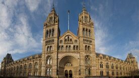 Natural-history-museum.jpg