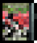 Vol 5 (TWD).png