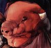 BaemuPig.jpg