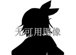 无可用图像