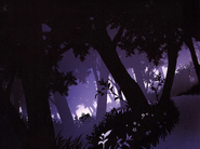 Held's Forest as it appears in the Prelude to Forest album back cover