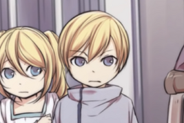 Irregularadamavi