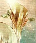 GreenOnion2.jpg